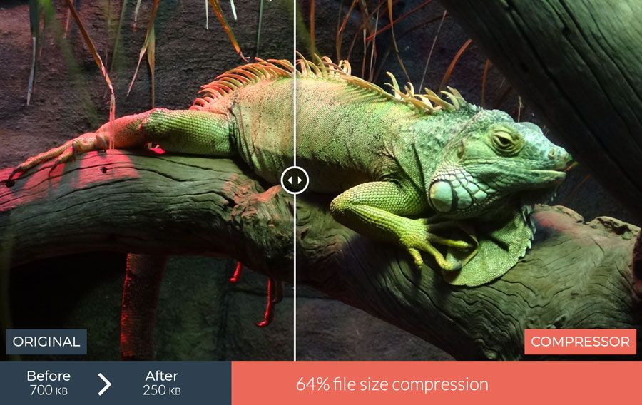 Bilder komprimieren mit dem kostenlosen Onlinetool Compressor.io