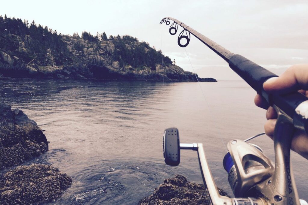 Deinen Blog bei Firmen promoten