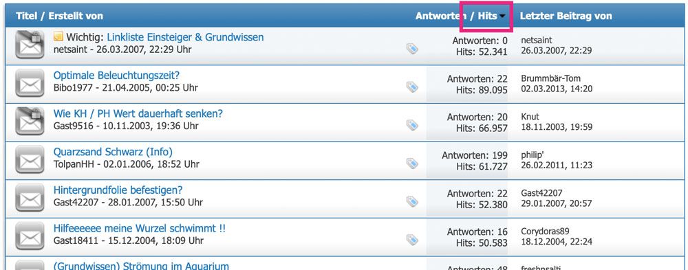 Erfolgreiche Themen für deinen Blog finden