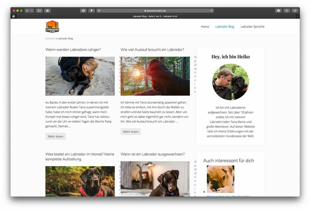 Traffic über Longtail Keywords generieren