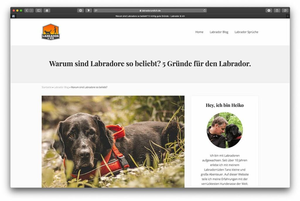 Traffic für Website generieren